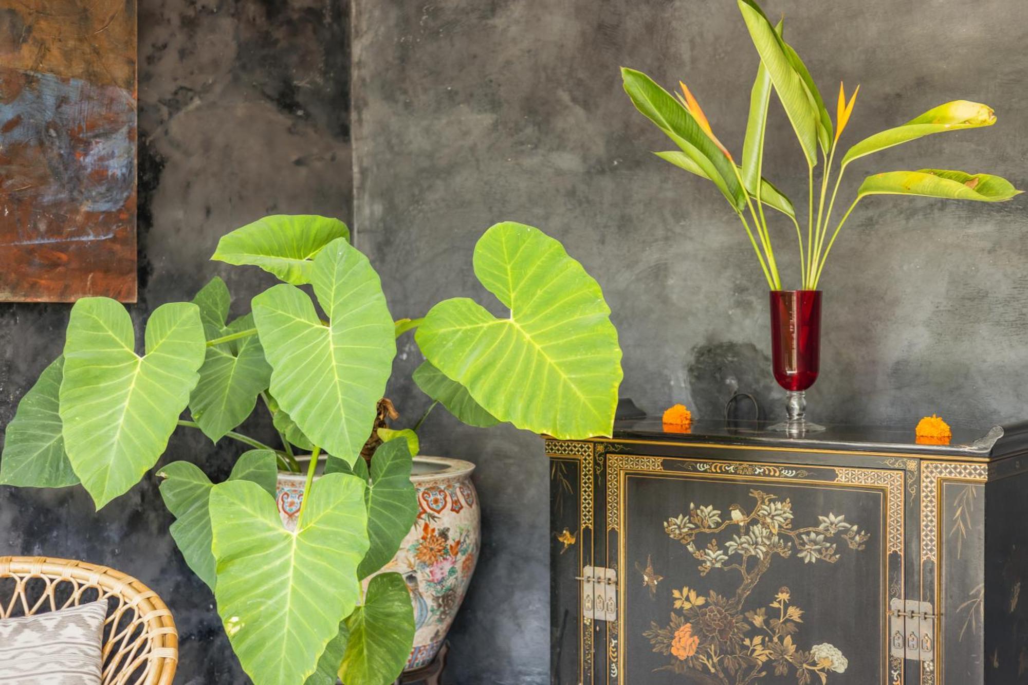 New 4 Bedroom Surrounded By Jungle And Ricefields Villa